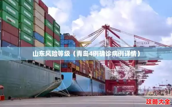 山东风险等级(青岛4例确诊病例详情) 山东风险等级(青岛4例确诊病例详情)