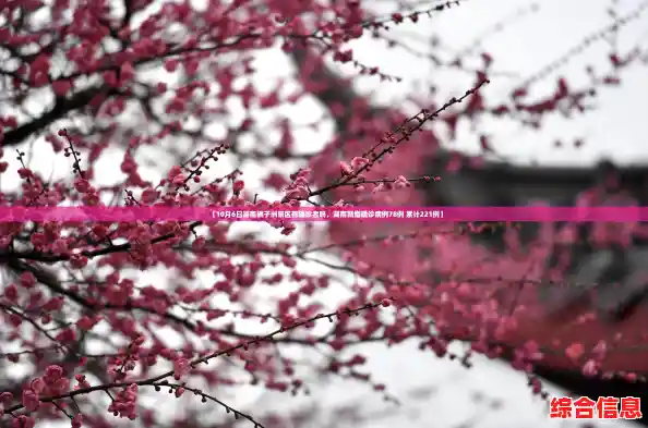 【10月6日湖南橘子洲景区有确诊者吗，湖南新增确诊病例78例 累计221例】