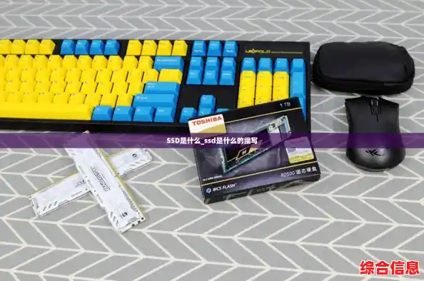 SSD是什么_ssd是什么的缩写