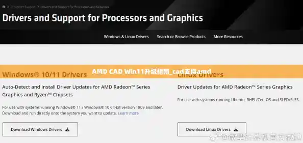 AMD CAD Win11升级指南_cad支持amd AMD CAD Win11升级指南_cad支持amd