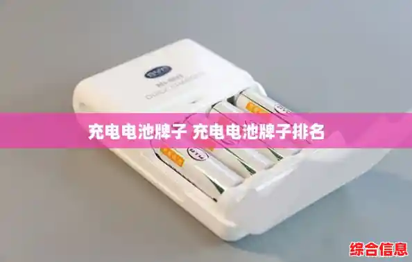 充电电池牌子 充电电池牌子排名 充电电池牌子 充电电池牌子排名
