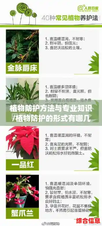 植物防护方法与专业知识/植物防护的形式有哪几种 植物防护方法与专业知识/植物防护的形式有哪几种