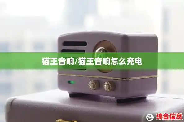 猫王音响/猫王音响怎么充电 猫王音响/猫王音响怎么充电