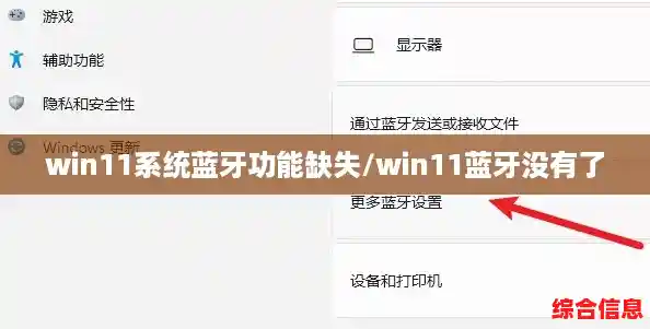 win11系统蓝牙功能缺失/win11蓝牙没有了