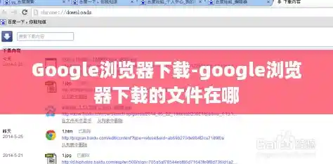 Google浏览器下载-google浏览器下载的文件在哪