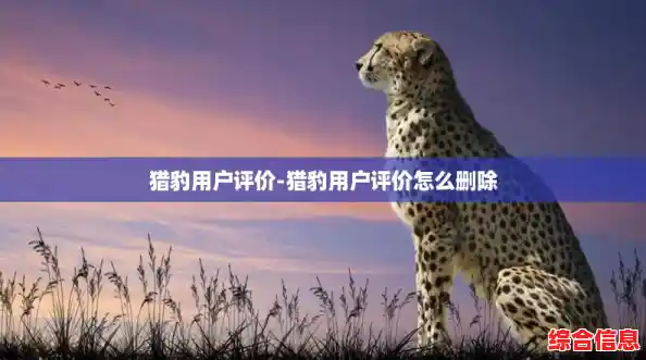 猎豹用户评价-猎豹用户评价怎么删除 猎豹用户评价-猎豹用户评价怎么删除