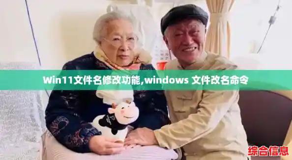Win11文件名修改功能,windows 文件改名命令 Win11文件名修改功能,windows 文件改名命令