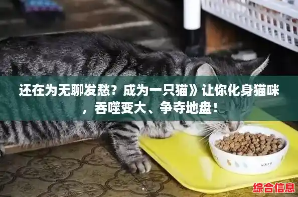 还在为无聊发愁?成为一只猫》让你化身猫咪,吞噬变大、争夺地盘! 还在为无聊发愁?成为一只猫》让你化身猫咪,吞噬变大、争夺地盘!