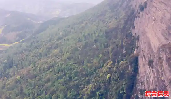 WiFi信号满格却无法上网？排查这些常见连接问题与解决方法