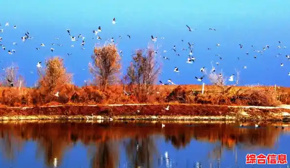 昨日全天新疆新增26例无症状感染/国家卫健委：昨日新增1228例本土确诊病例、5658例本土无症状...