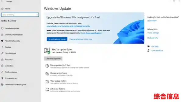 升级Windows 11专业版,体验更高效安全的操作系统新境界 升级Windows 11专业版,体验更高效安全的操作系统新境界