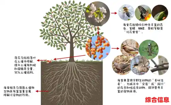种子力量：揭示其深层含义及对生态系统的重要贡献