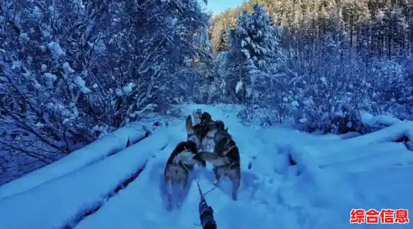 想要体验真实极寒生存挑战？试试《无尽冬日》吧！
