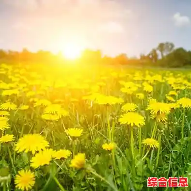 微信拍一拍详细步骤教学，助你快速提升社交互动乐趣