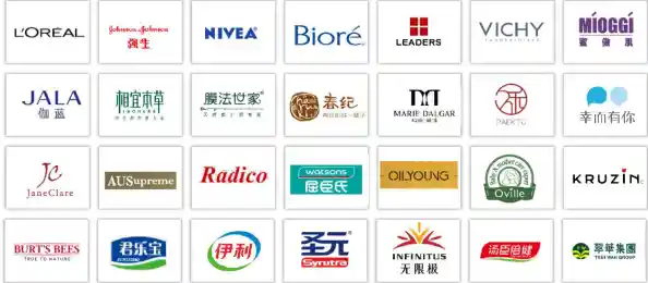 网页无法访问？小鱼为您提供详细解决步骤与实用技巧