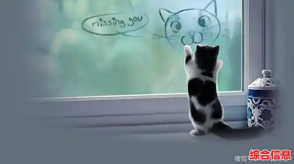 还在寻找治愈系猫奴天堂?遇见你的猫国际版》让你体验多语言互动养成! 还在寻找治愈系猫奴天堂?遇见你的猫国际版》让你体验多语言互动养成!