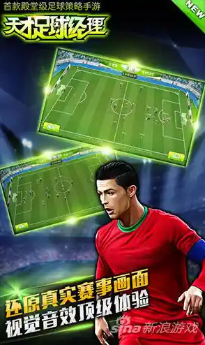 谁不想亲手打造冠军球队?足球经理2024中文版》圆你足球梦! 谁不想亲手打造冠军球队?足球经理2024中文版》圆你足球梦!