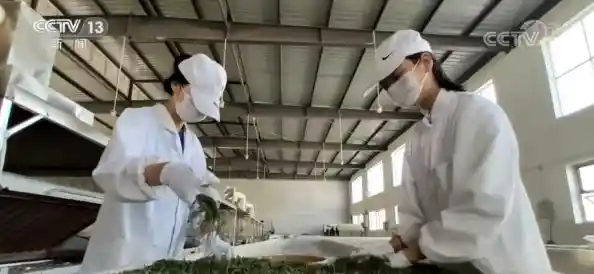 31个省会城市/直辖市返乡政策大集合，31省返乡政策来了