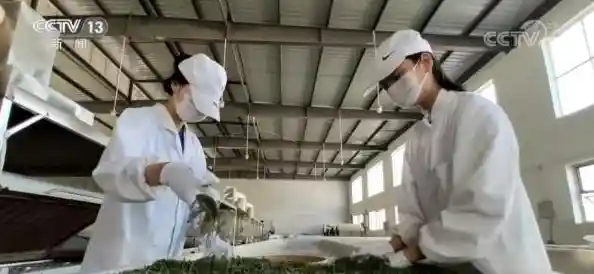 31个省会城市/直辖市返乡政策大集合，31省返乡政策来了