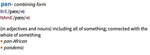 深入解析“pin”在不同语境下的定义与用法