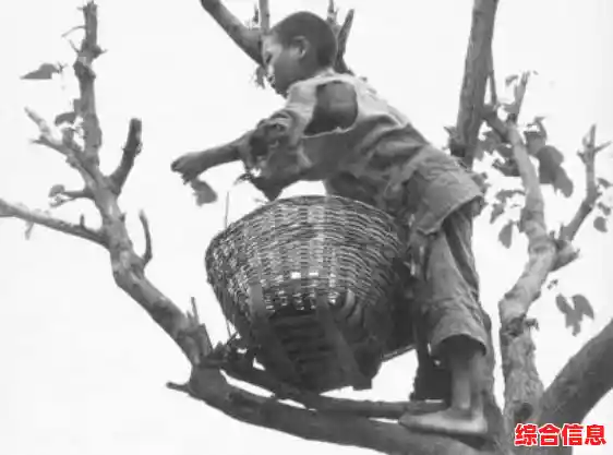 想在热带群岛中开启全新生存冒险？快来试试《饥荒海难》吧！