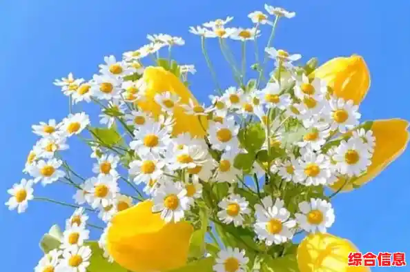 微信界面美化技巧分享，教你设置专属壁纸更出彩！