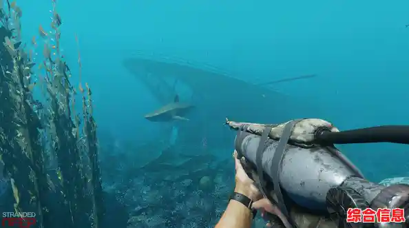 还在寻找自由不受限的游戏？为什么不来体验《搁浅岛屿(Stranded Island)的开放世界呢？