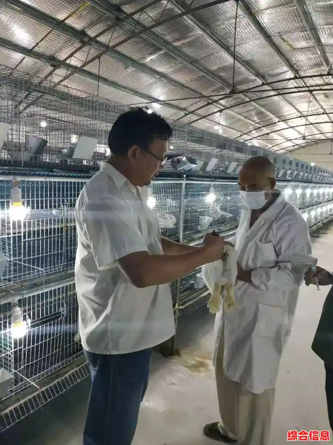 《兔克创业记》让你体验创业乐趣，何不快来试试？