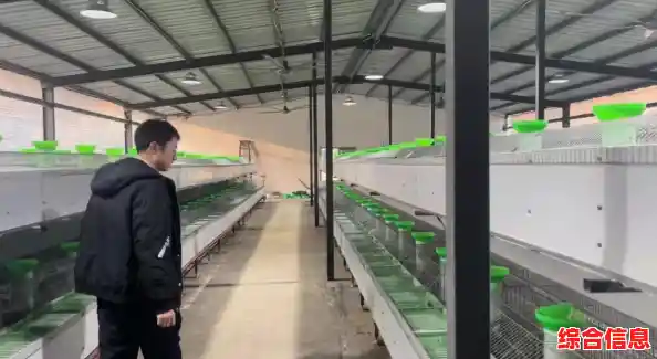 《兔克创业记》让你体验创业乐趣，何不快来试试？