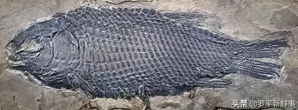 想体验丰富生物群系与多元玩法？我的世界0.14.3》为何成为无数玩家的首选？