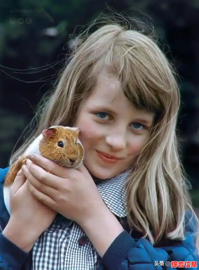 恐怖躲猫猫3阴森墓园3D有多刺激?珍妮、伯爵等你来挑战,不试试吗? 恐怖躲猫猫3阴森墓园3D有多刺激?珍妮、伯爵等你来挑战,不试试吗?