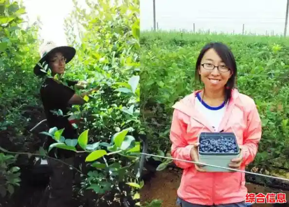 触屏时代的回忆，水果忍者安卓版你试过了吗？