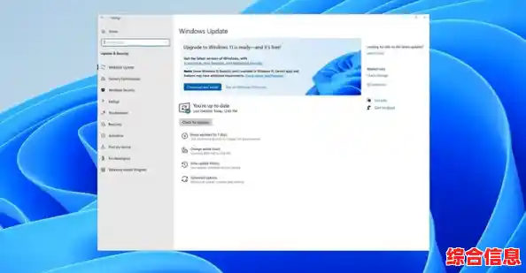 win11登不上商店原因,win11无法登陆microsoft