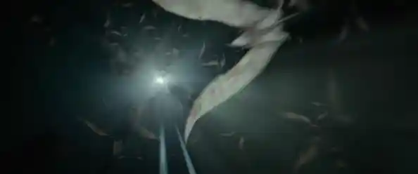 谁说恐怖逃亡不能有趣？第五人格安卓版》的超丰富道具和剧情你玩过了吗？