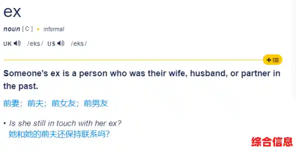 ex背后的文化与社会意涵:如何准确理解并恰当使用这一词汇 ex背后的文化与社会意涵:如何准确理解并恰当使用这一词汇