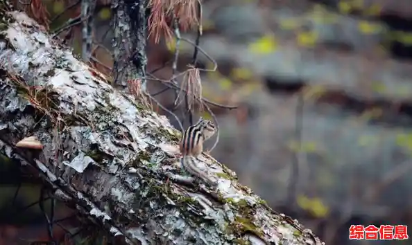 想要在神秘矿山和浩瀚宇宙中飙车？登山赛车2老版本》满足你的所有幻想！