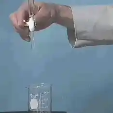 动态图片设计进阶：从基础到精通的实用技巧指南