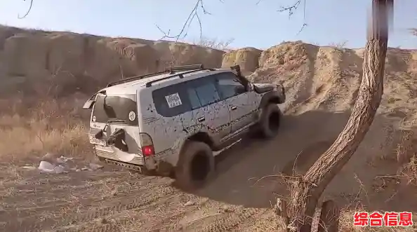 显卡性能天梯图全揭秘：桌面移动巅峰对决一目了然