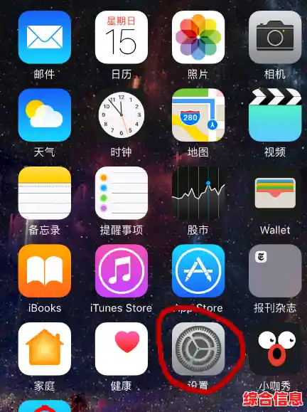 苹果手机上网_苹果手机上网流量设置方法