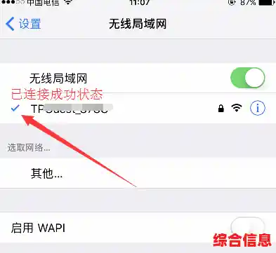 苹果手机上网_苹果手机上网流量设置方法