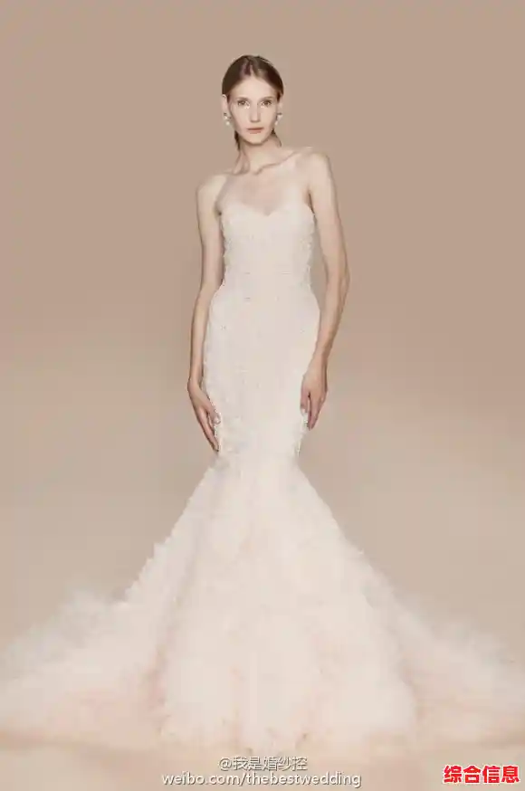 下载纽扣助手，专业工具让纽扣修复变得简单便捷