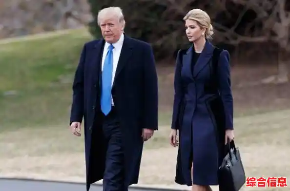 下载纽扣助手，专业工具让纽扣修复变得简单便捷