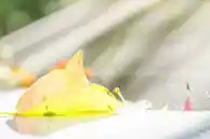 甜蜜情侣专属QQ头像，传递爱的独特符号