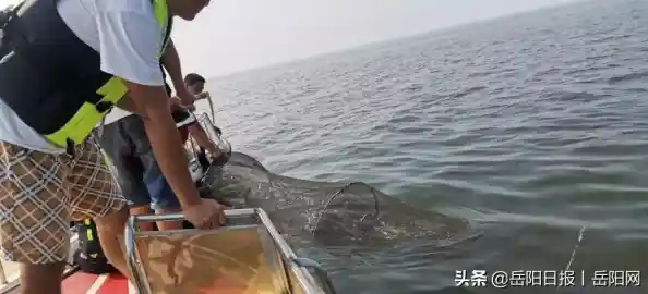 电脑无法进入安全模式？小鱼教您几招实用解决方法