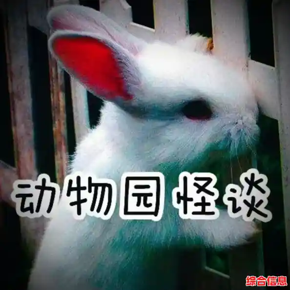 喜欢谋略与惊悚？为什么不在《动物园怪谈》中测试你的临场反应与智慧？