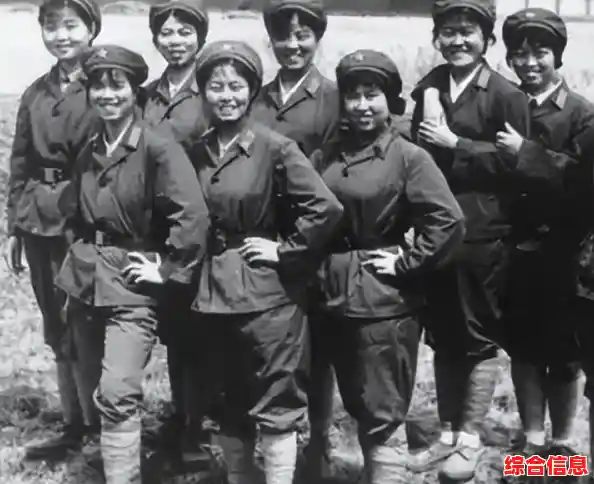 植物英雄保卫家园僵尸来袭手机版大作战/植物大战僵尸之保卫家园