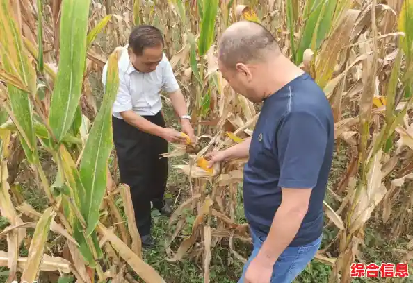 ALC662声卡驱动下载安装_alc668声卡