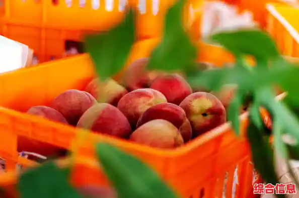 【2021成都疫情什么时候开始的，成都本次疫情溯源】