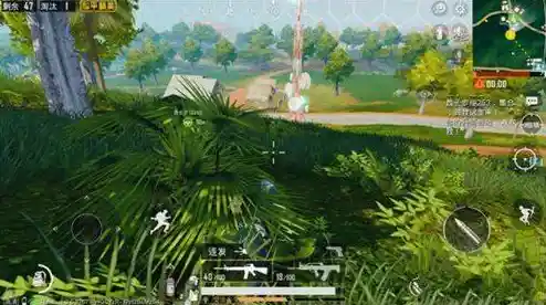 追求次世代画质与实战快感？和平精英体验服怎能错过！