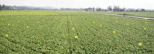 探索驱动器的定义：从基础原理到实际应用场景